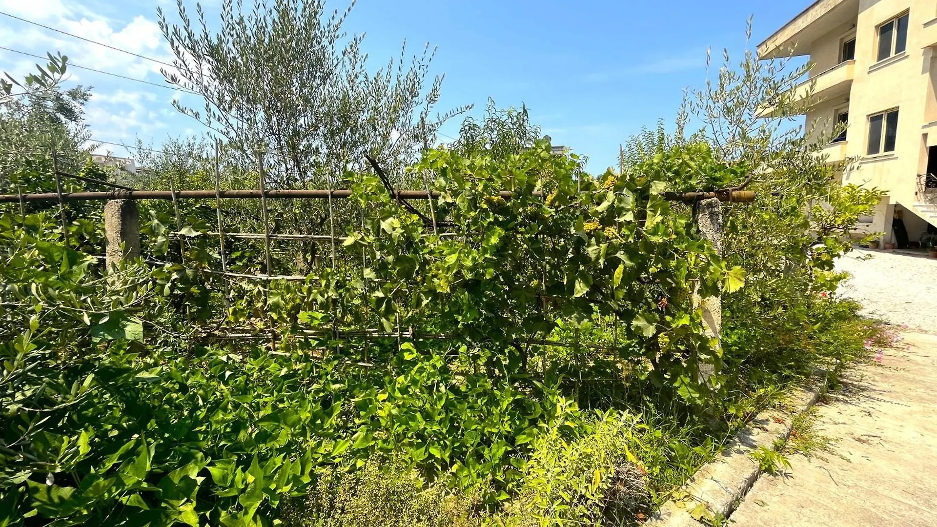 Vila 4 Stinet Vlore